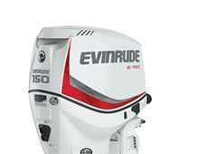 evinrude-etec22