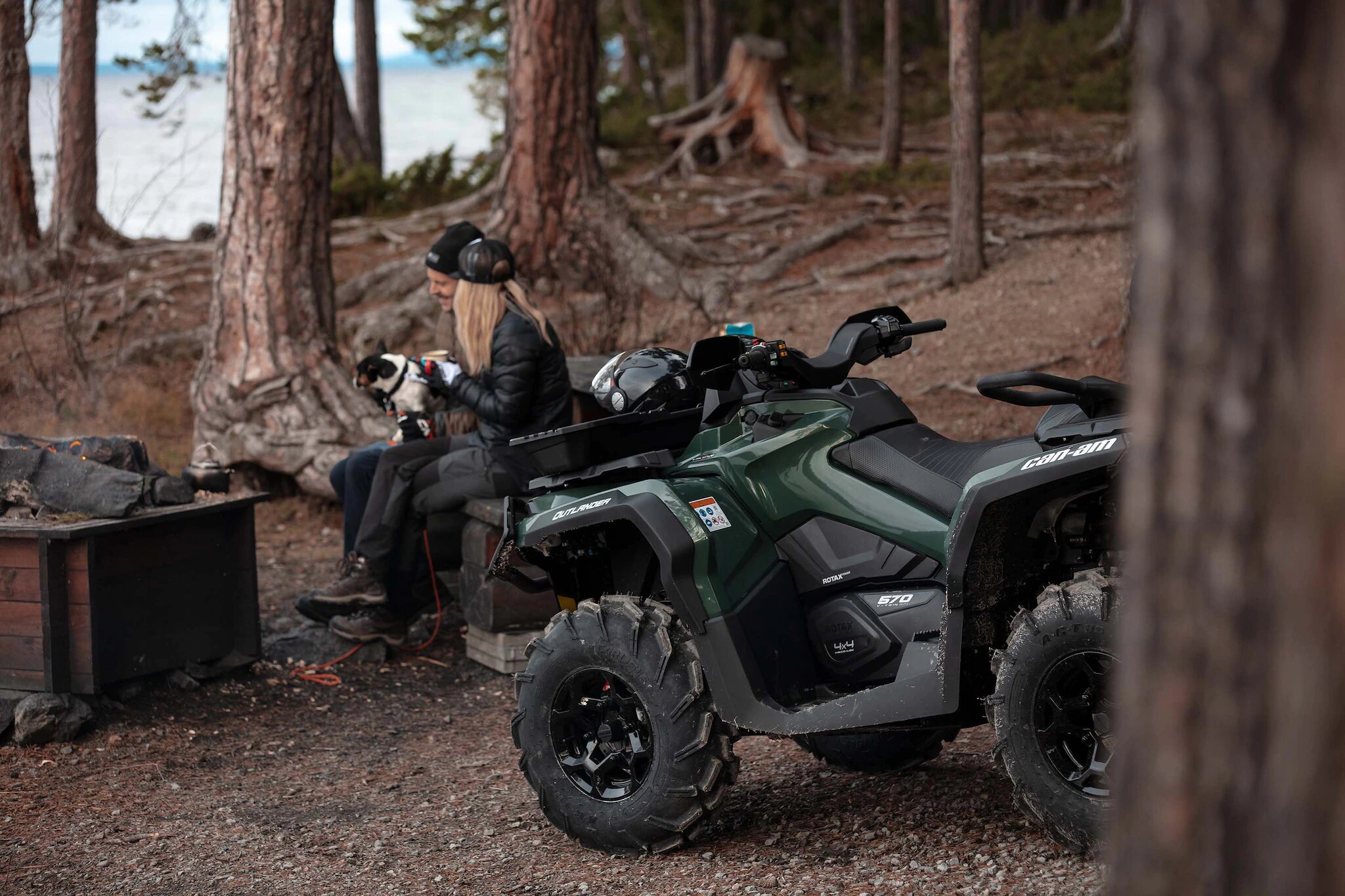 КВАДРОЦИКЛЫ ATV